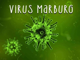ilustrasi virus Marburg (sumber gambar: pixabay.com/qimono)