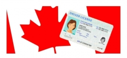 Driving license (Sumber: soberimmigration.com)