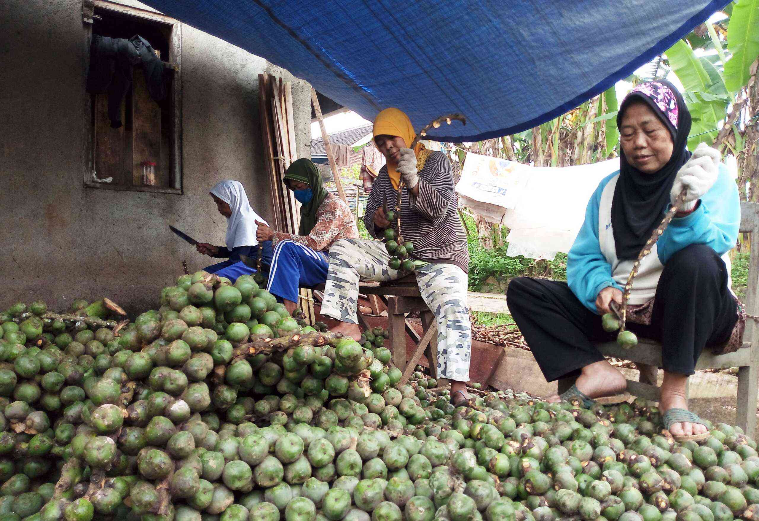 Caruluk /kolang kaling (httpswww.jatengnews.idwp)