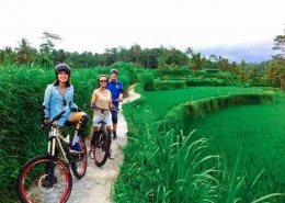 Bule Yang Menikmati Bersepeda Di Ubud | Sumber Situs UbudHood