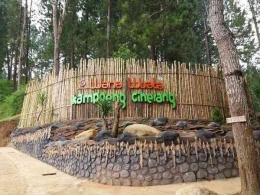 Kampoeng Ciherang