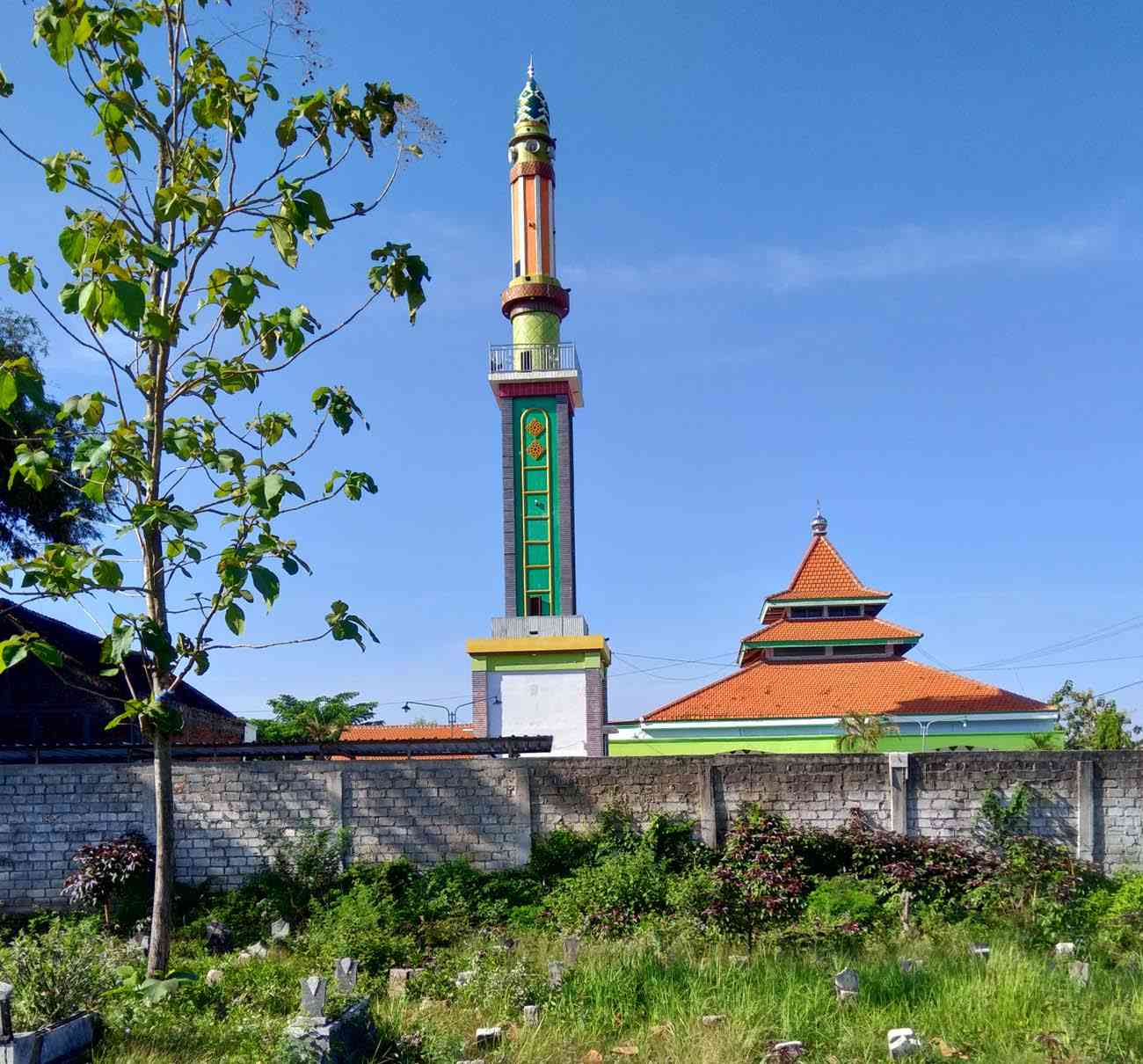 Pohon jati di makam desa (Foto: dok. pri)