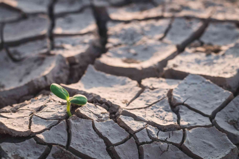 Perubahan iklim global memerlukan inovasi kreatif dan adaptif pertanian. Photo: iStock.com/R_tee Image 