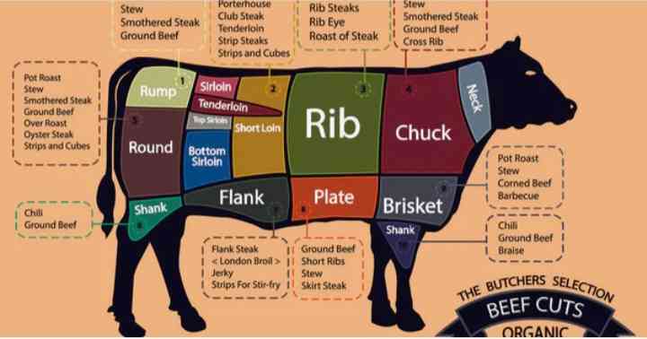 Bagian-bagian daging sapi dan pemanfaatannya dalam berbagai jenis masakan (dok foto: holycowsteak.com)