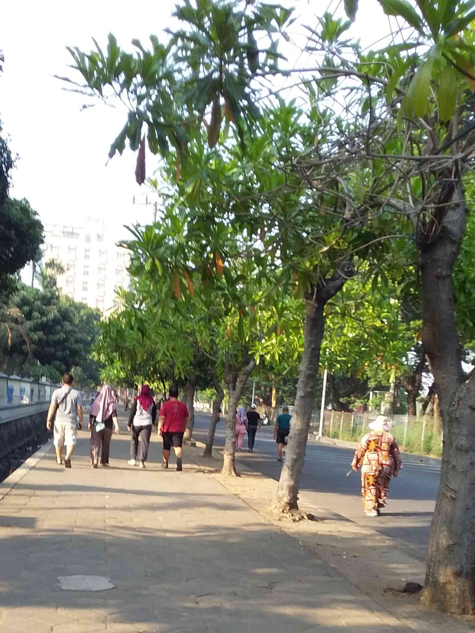 Jalan Santai di Pagi Hari untuk Mengurangi Kalori yang lebih, agar Tubuh Tetap Bugar. Dokpri. 