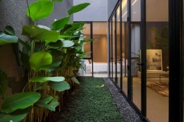 Ilustrasi sisi rumah ditanami tanaman hijau yang membuat sejuk rumah. Sumber: Arsitag via kompas.com