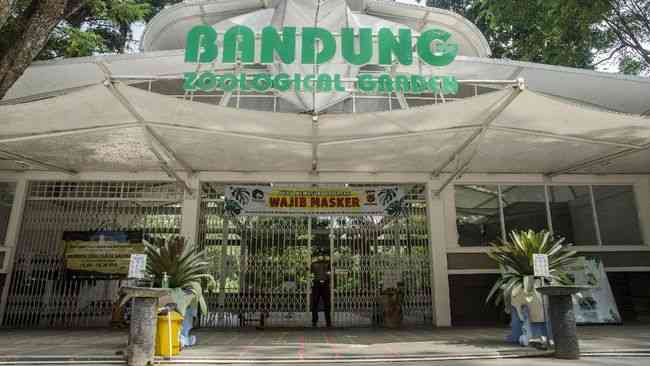 Kebun binatang Bandung. Dokpri