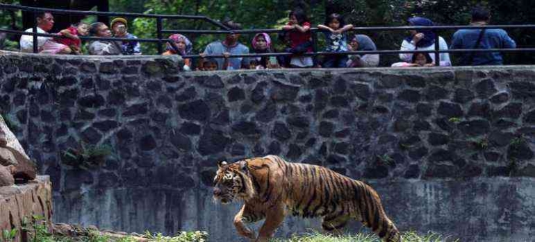 kebun binatang Bandung. Dokpri
