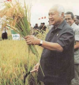 Soeharto memanen padi | Foto: panjimasyarakat.com