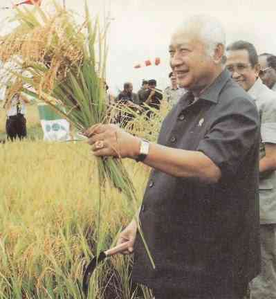 Soeharto memanen padi | Foto: panjimasyarakat.com
