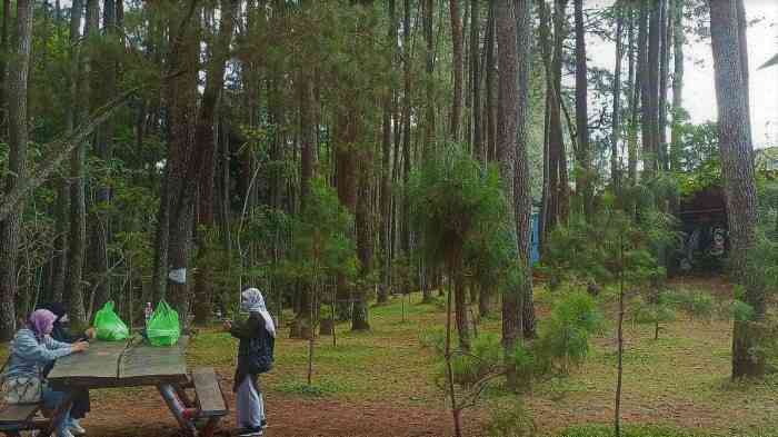 source-tribunjabar-travel-643623a308a8b521210e91e2.jpg