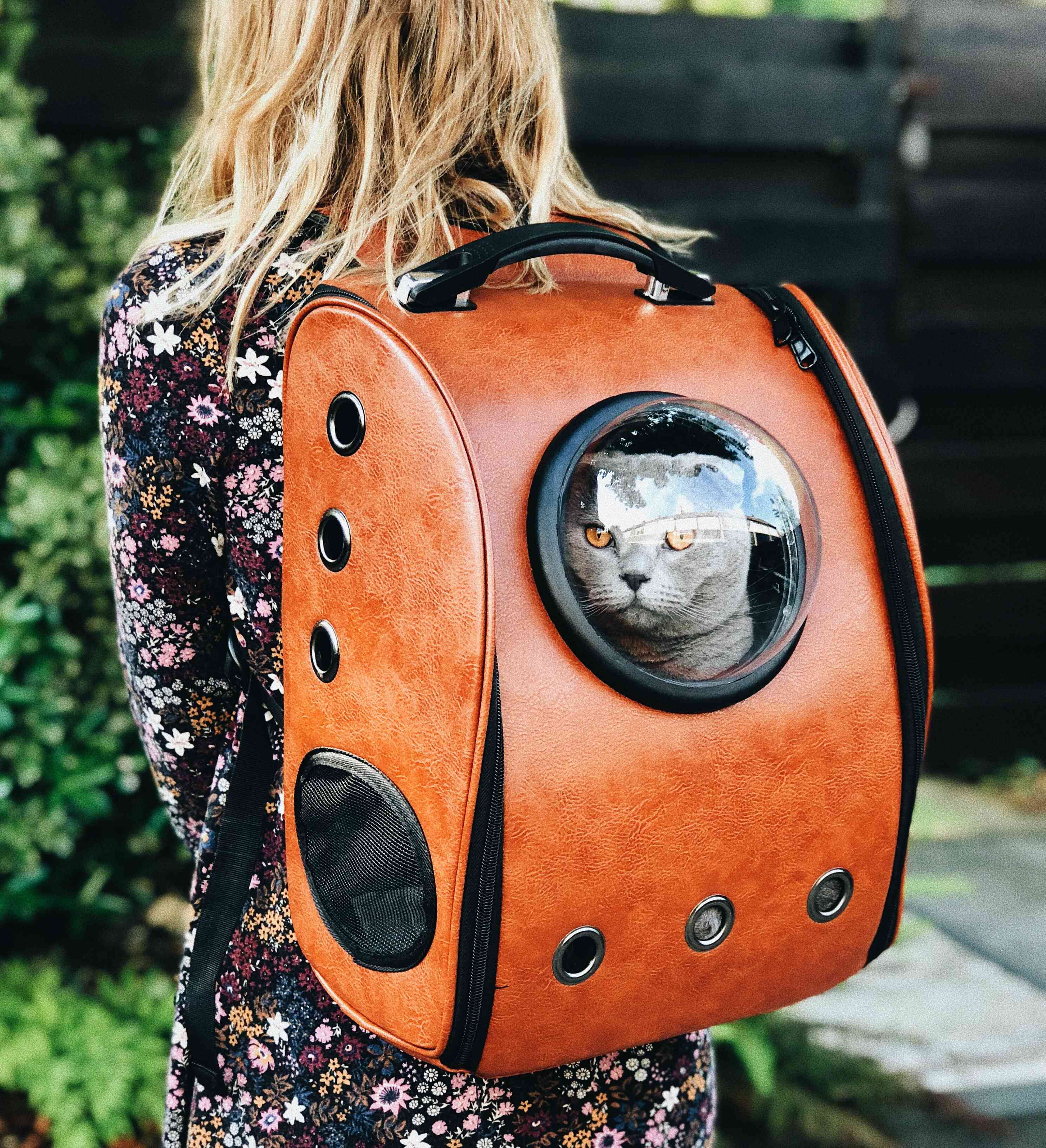 Ilustrasi seseorang membawa kucing kesayangannya mudik ke kampung halaman | unsplash: raoul droog