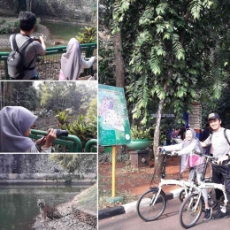 Sambil belajar tentang fauna di Taman Margasatwa Ragunan, bisa loh sewa sepeda. Dokumen pribadi.