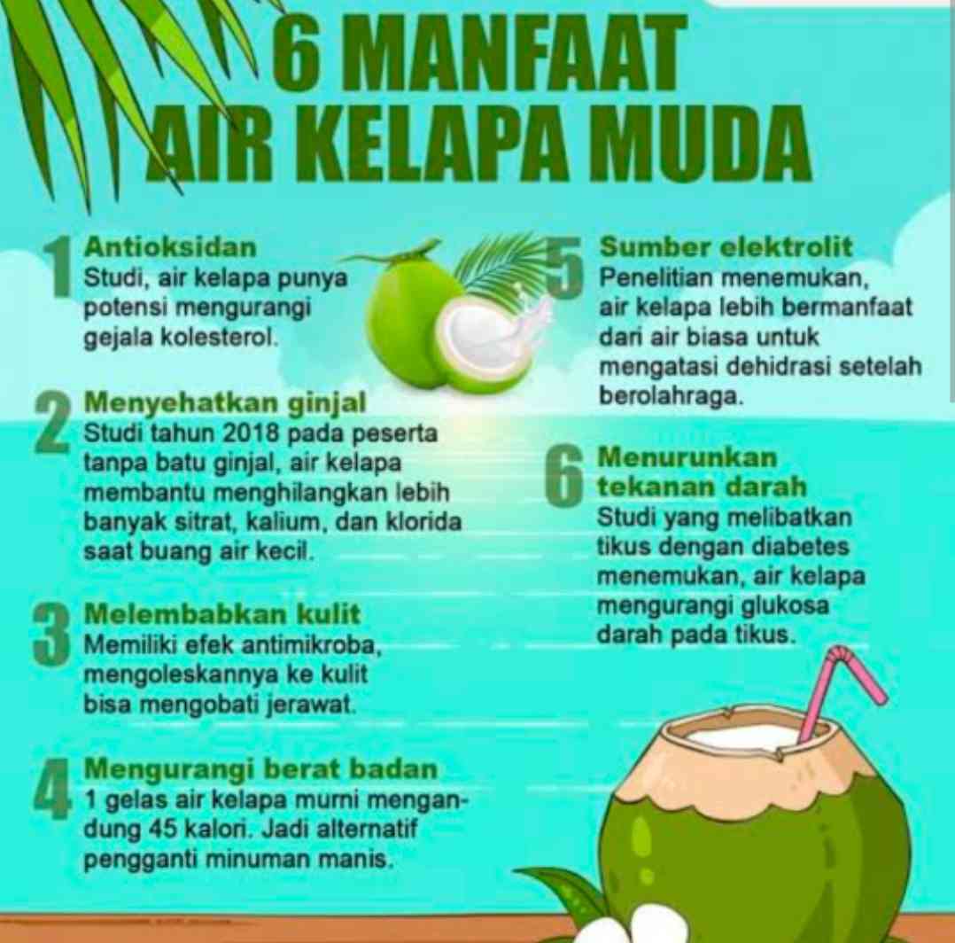 Manfaat es kelapa (Ilustrator Inews.id) 