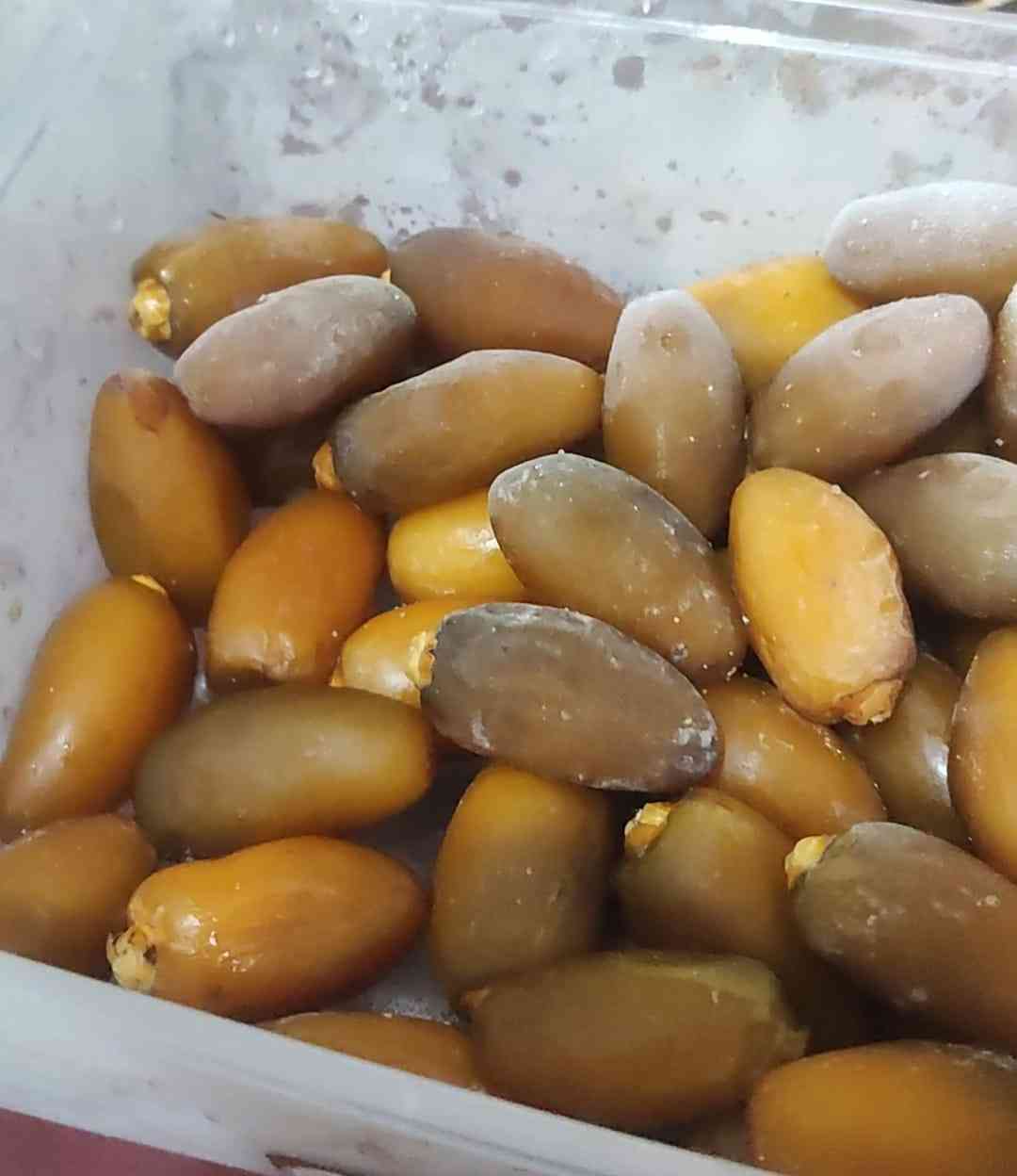 Kurma Ruthab (dok. pribadi)