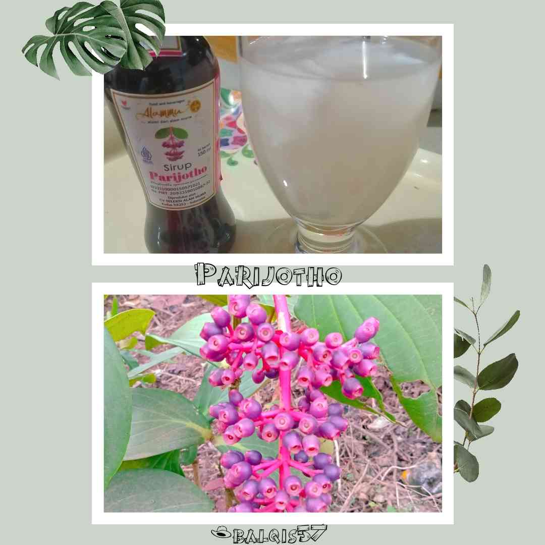 Sirop & Buah Parijotho (Dok. Pribadi) 