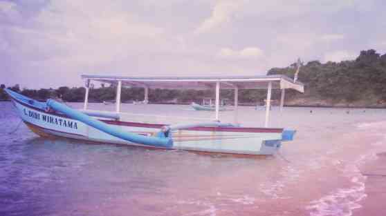 Perahu kapasitas 12 orang, termasuk boatman,  untuk mudik,  eh,  ngetrip laut ke Pantai Pink Lombok. Dokpri