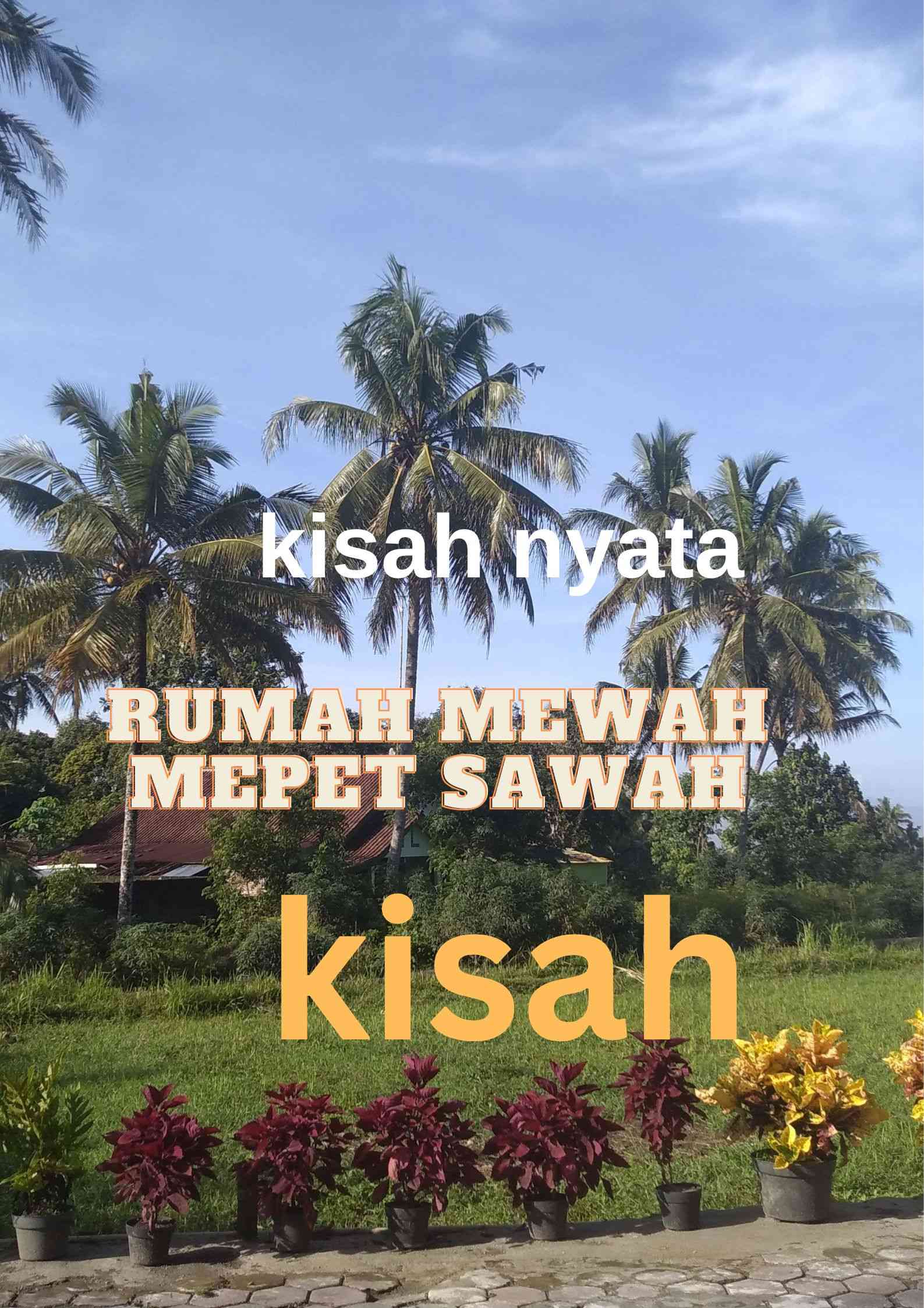 Kisah cerita dari tempat ini, sebuah rumah mepet sawah, photograpy oleh D.Wibhyanto / penulis. / dokumen pribadi.