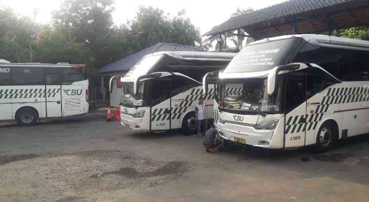 Pilihan moda transportasi bus untuk mudik menjadi kendarasn favorit(dokpri)