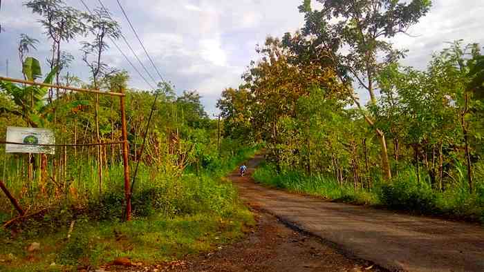 Pintu masuk utama GBF dari ruas jalan desa Tumpak. Ke ujung jalan di depan, mengarah ke Pantai Mawun. Dokpri