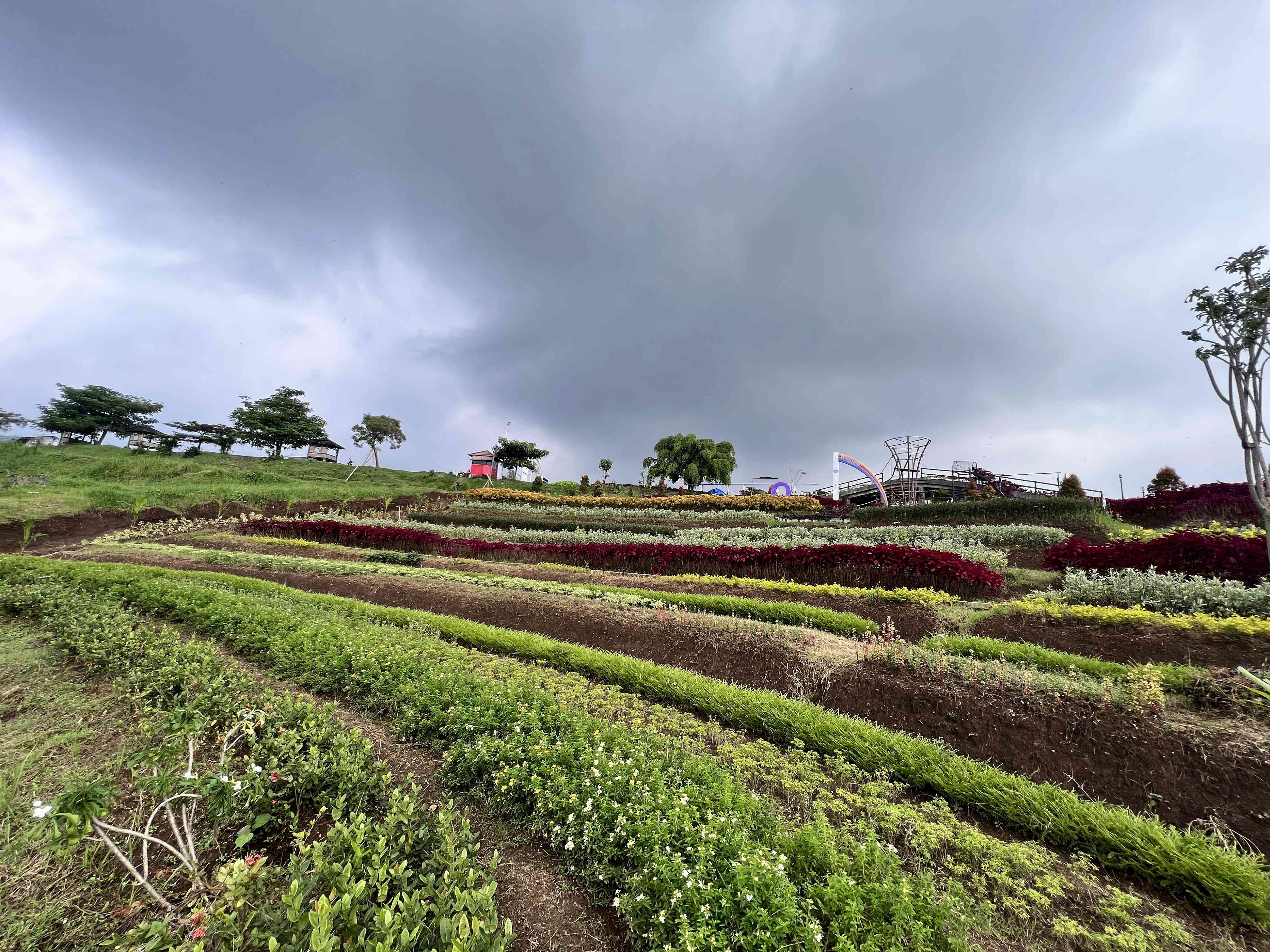 Rainbow Garden. Sumber: dokumentasi pribadi