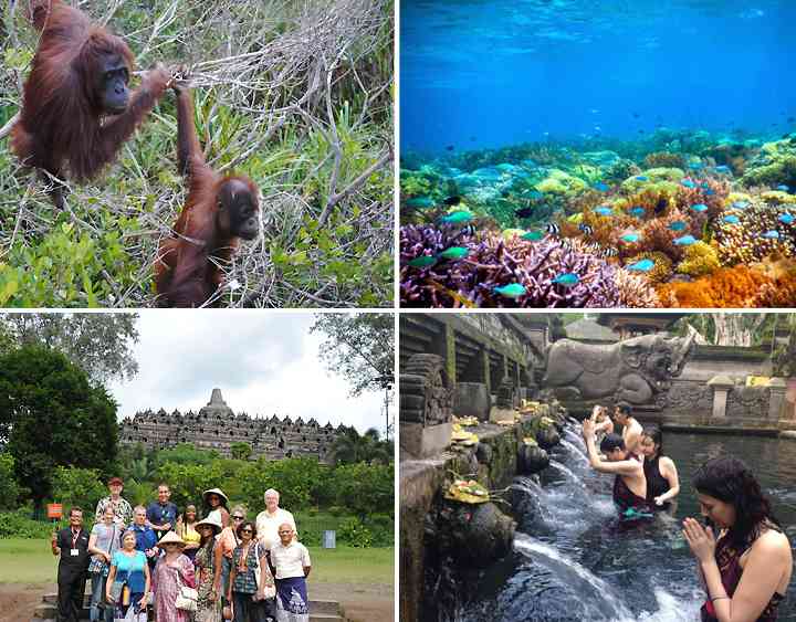 Ilustrasi via Bali Flores Adventure