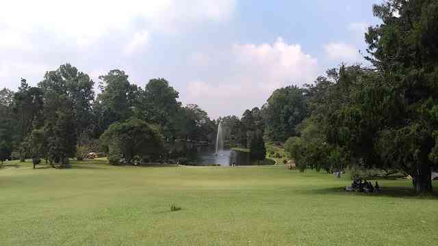 Hamparan rumput hijau dan danau di Kebun Raya Cibodas (Dok. Didno)