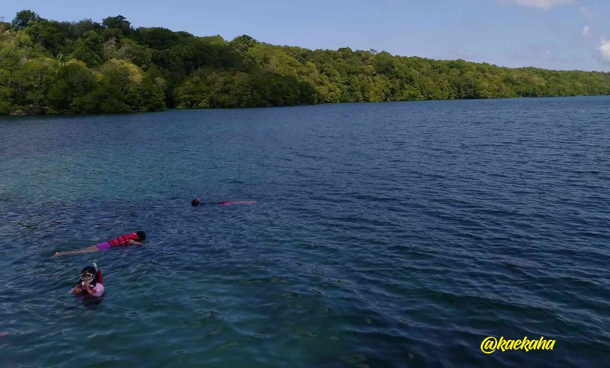 Laguna/Danau Ubur-ubur Purba Pulau Kakaban | @kaekaha