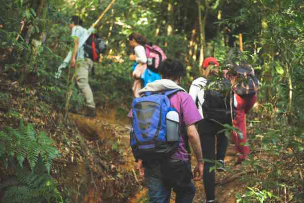 Ilustrasi Pendaki Gunung via IStockPhoto