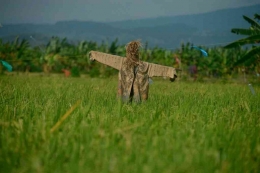 Foto Bebegih, By Kompas.com