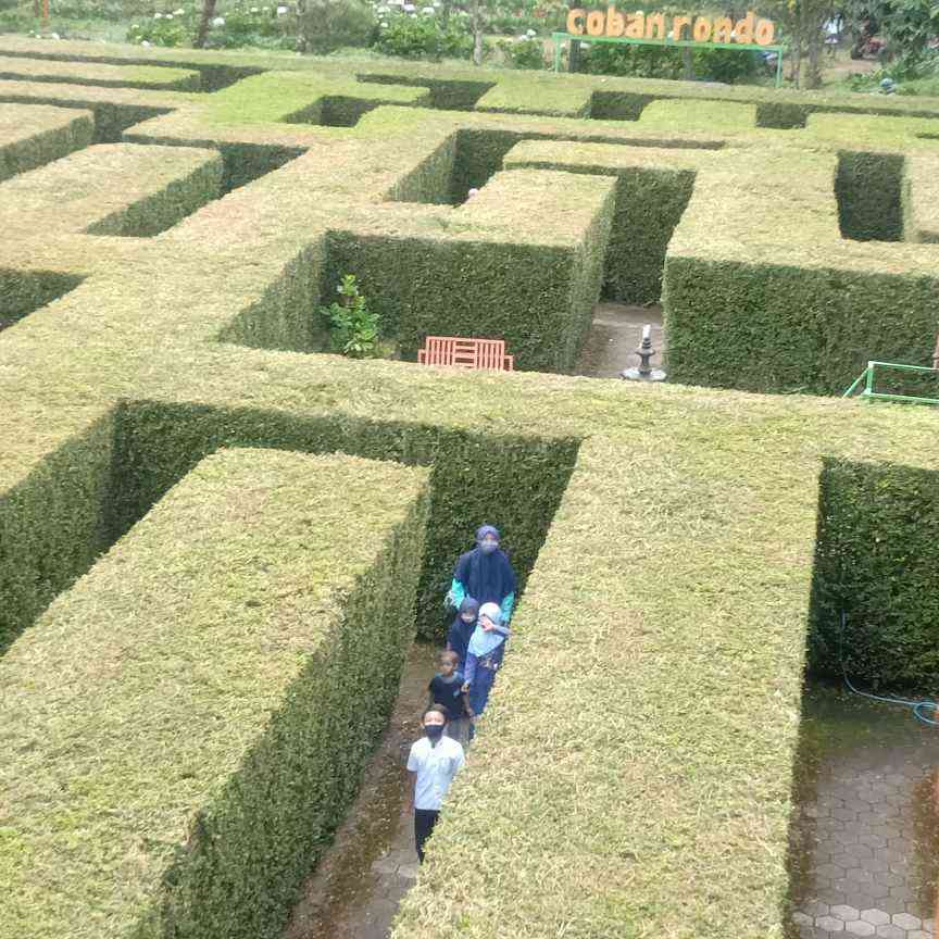 Bermain labirin di Taman Labirin Coban Rondo (dok. pribadi).