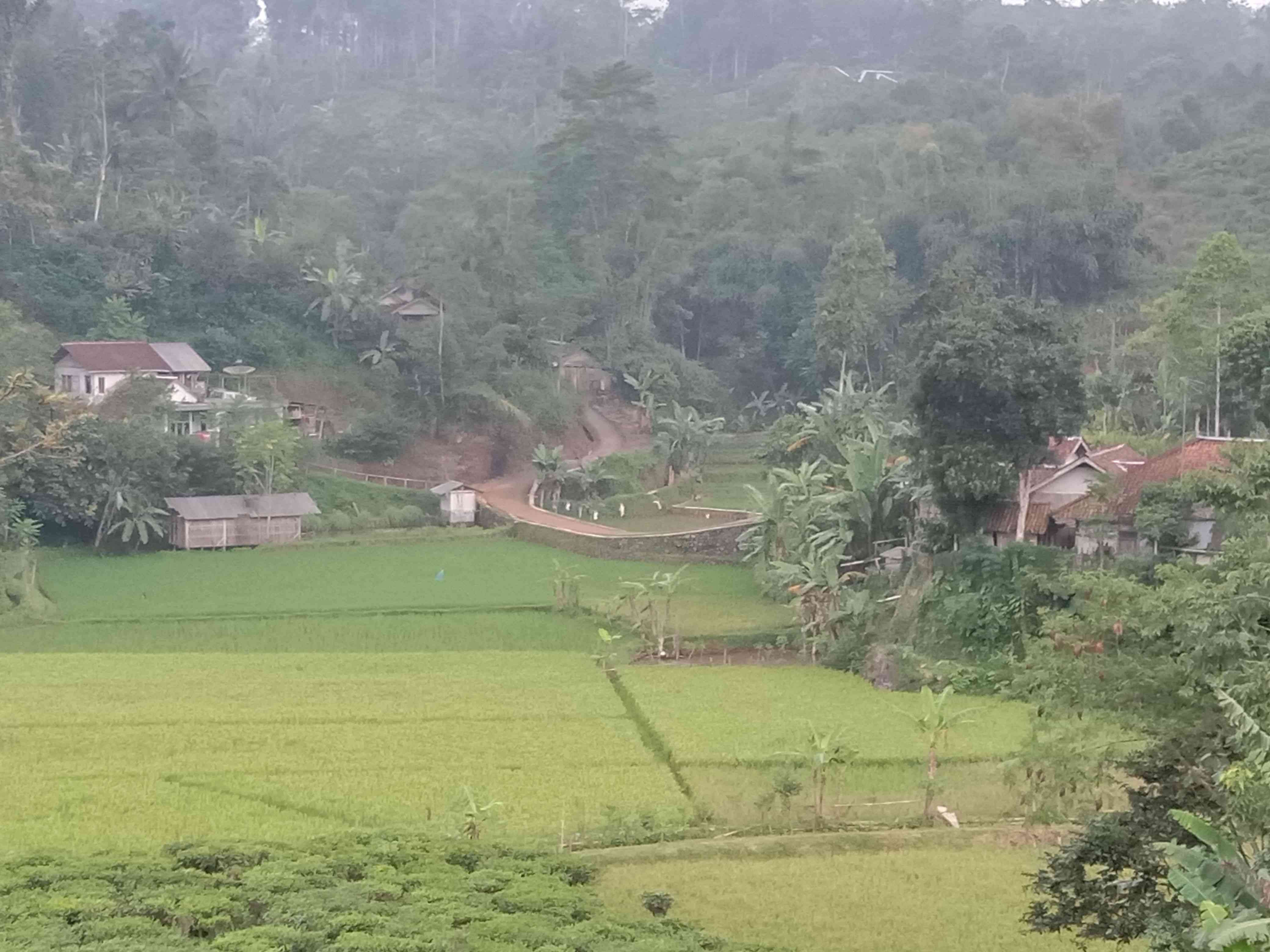 Indahnya alam desa taraju/dokpri