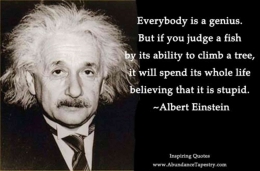 Albert Einstein dan quote. Foto : Evelyn Lim, flickr.com
