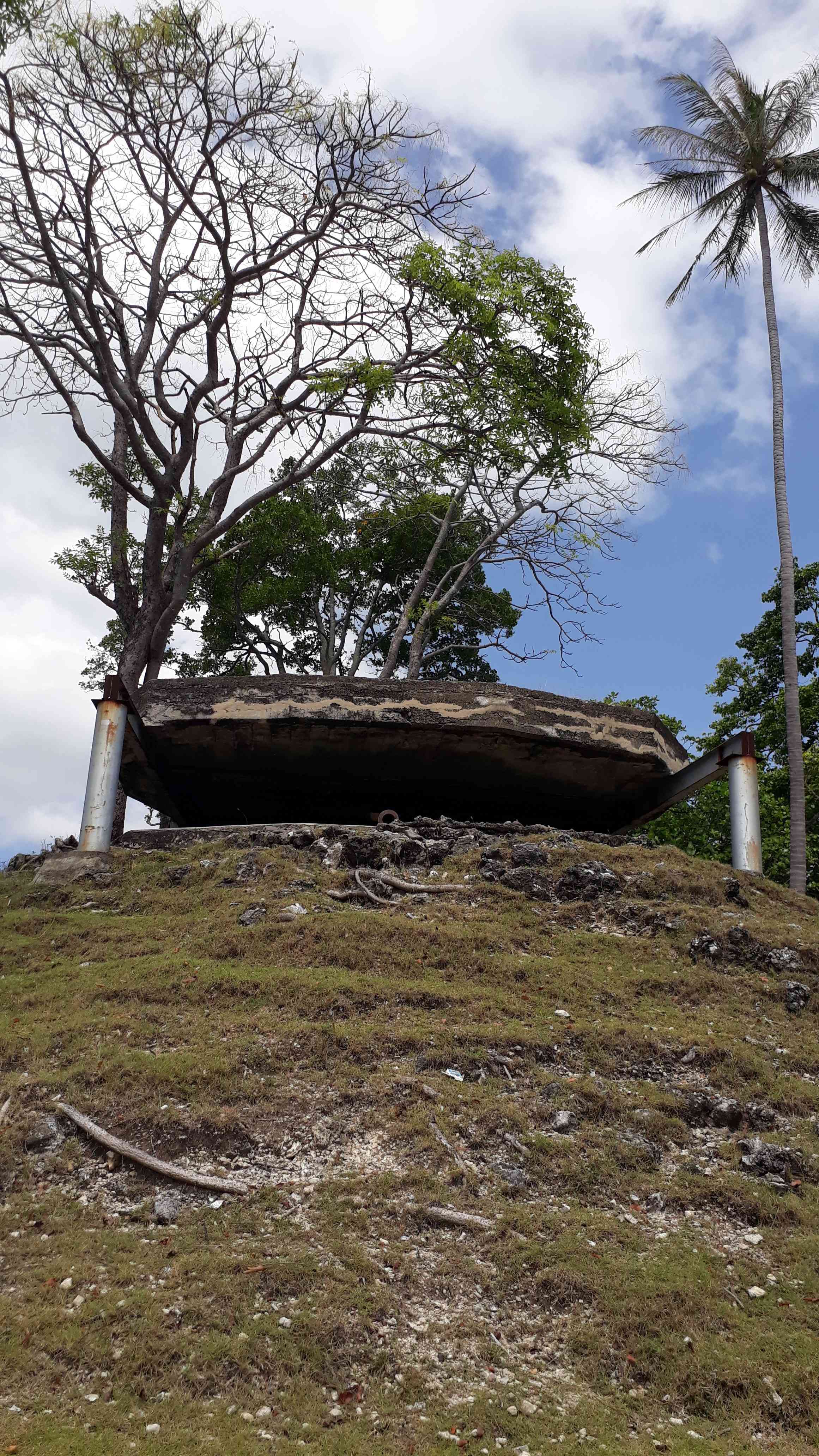 Tampak dari depan, Sumber [Dokpri]