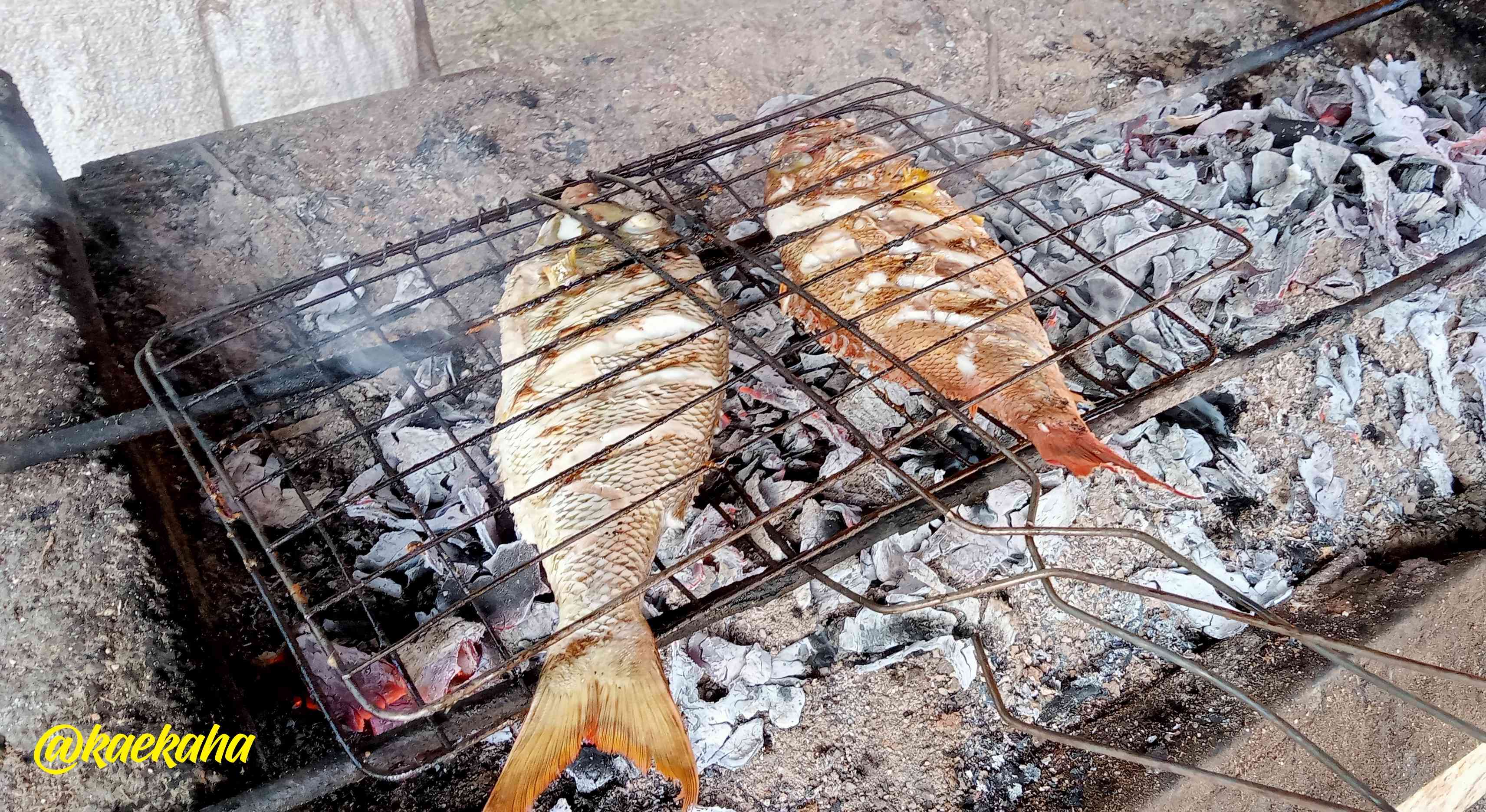 Bakar Ikan Segar | @kaekaha