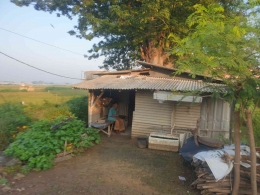 Rumah Mbah Karsini di Desa Sawohan Kec. Buduran Sidoarjo/Dok Pribadi