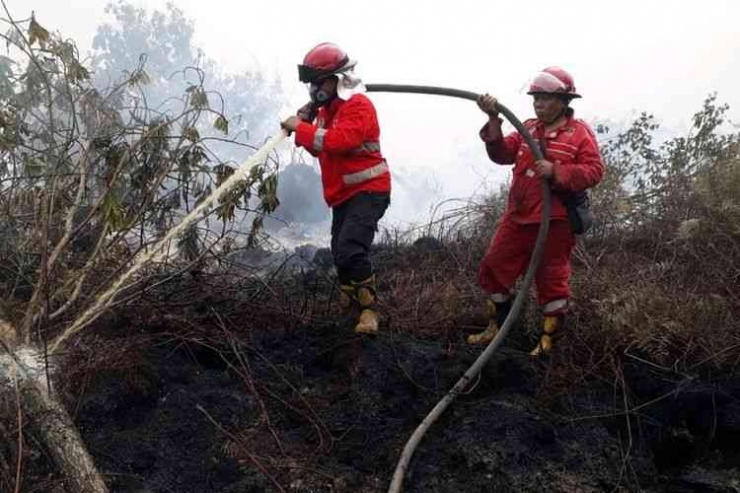 Petugas gabungan memadamkan api karhutla di perbatasan Dumai-Bengkalis di Riau, Minggu 23/4/2023. (Dok. Manggala Agni Dumai via Kompas.com)