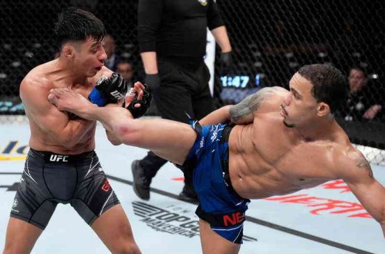 (Foto oleh Chris Unger/Zuffa LLC)