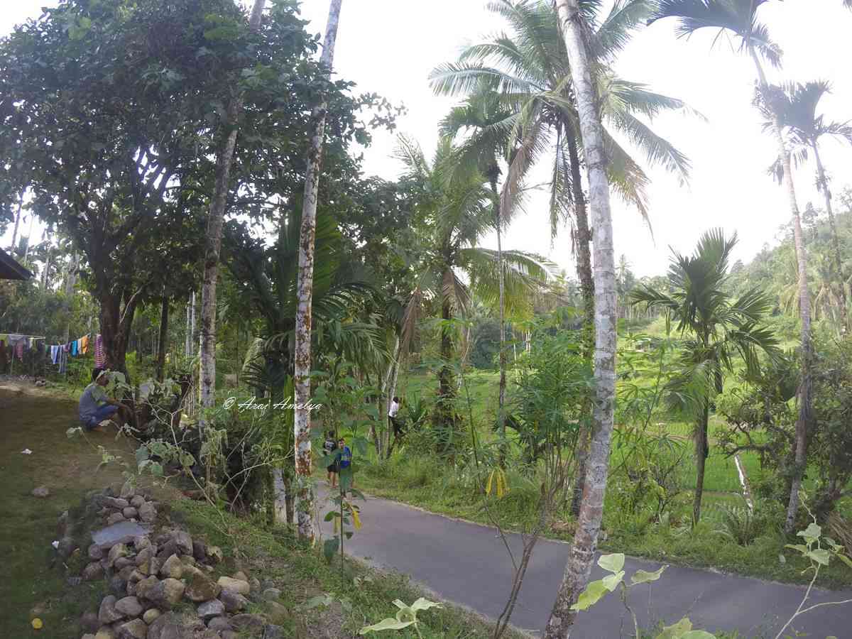 Suasana jalan depan rumah mak uo di Simaung foto: Arai Amelya