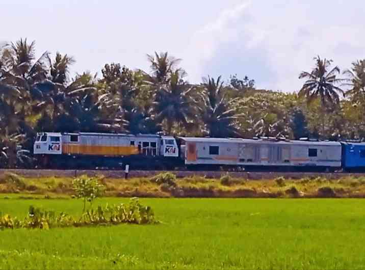 Menunggu kereta lewat di tempat Embah, kenangan tak terlupa (dokpri) 