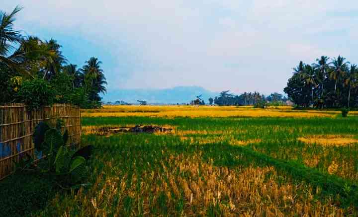 Bukit Menoreh yang jauh dan samar, selalu membuatku terpesona (dokpri) 