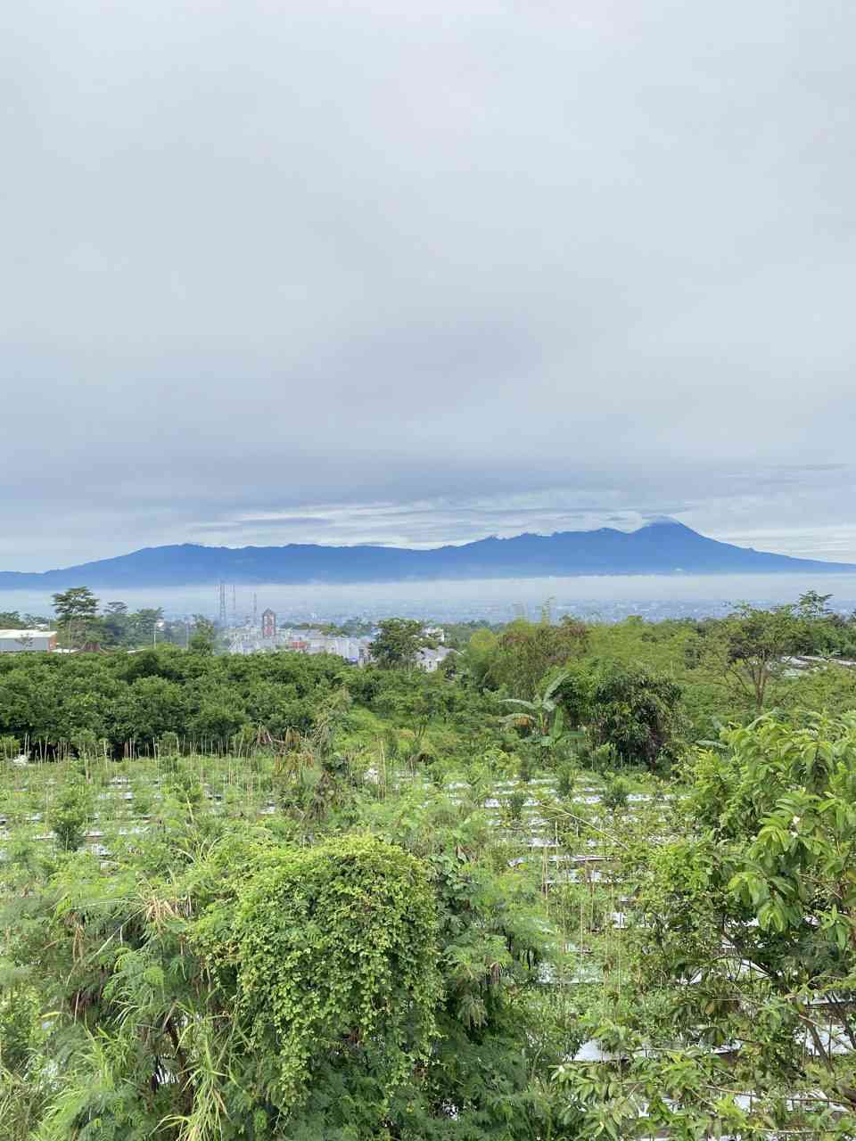 view dari atap rumah kami di kampung halaman (dok.pri)