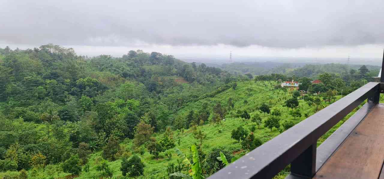 Alam desaku yang indah dan asri. Rasanya nyaman ngopi sambil menikmati bersihnya udara. Dok Shita R