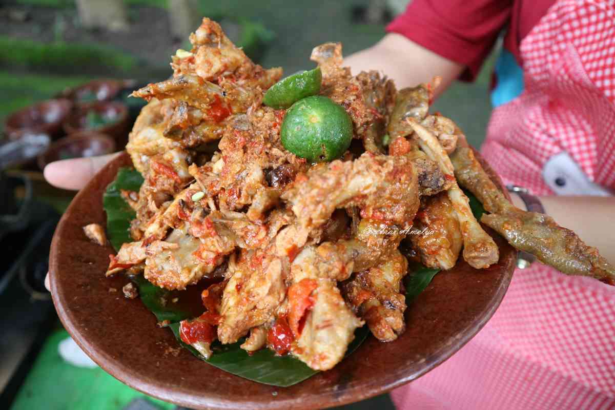 Ayam merangkat foto: Arai Amelya