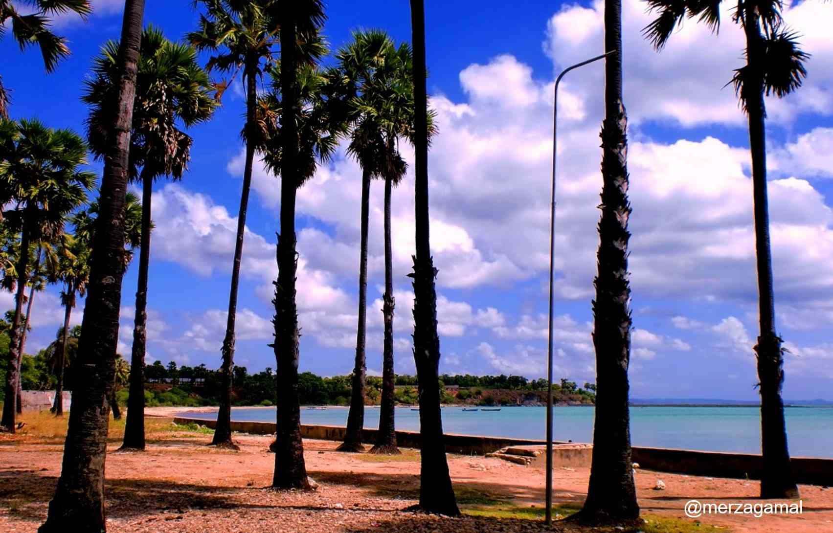 Image: Pantai Lasiana, Kupang, Nusa Tenggara Timur (dokpri)