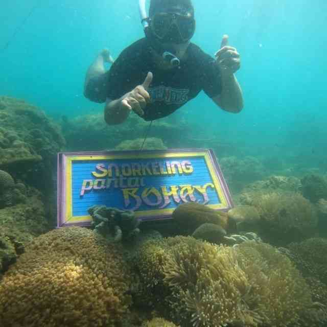 Snorkeling (Sumber: instagram.com/dimasprayoga.dewandaru)