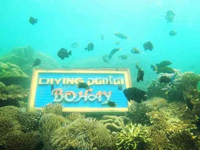 Diving di Pantai Bohay  (Sumber: instagram.com/candradani14)