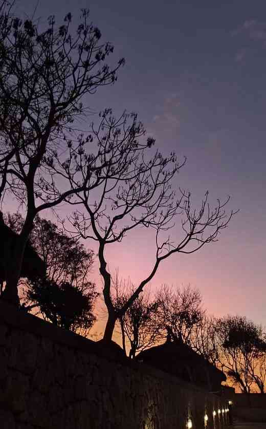 Langit berubah menjadi semburat ungu di Kawona ketika matahari terbenam (sumber gambar: dokumen pribadi) 