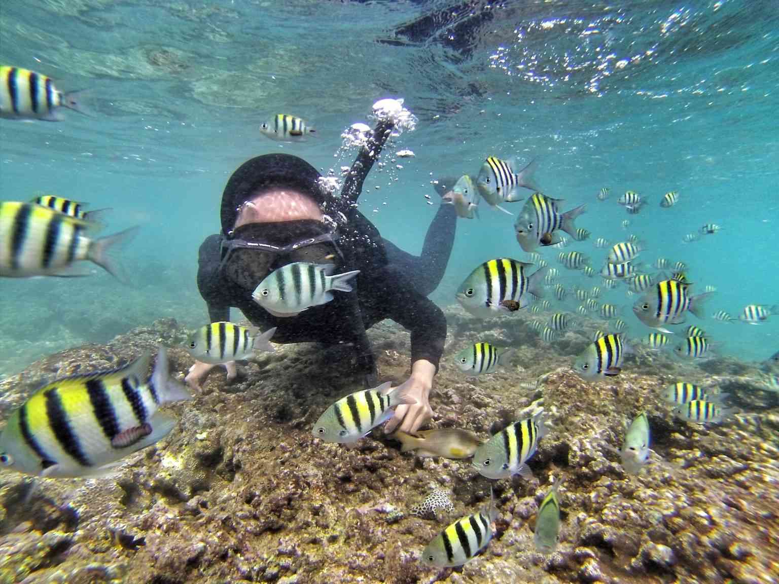 Suasana menyelam di pantai nglambor (google maps)