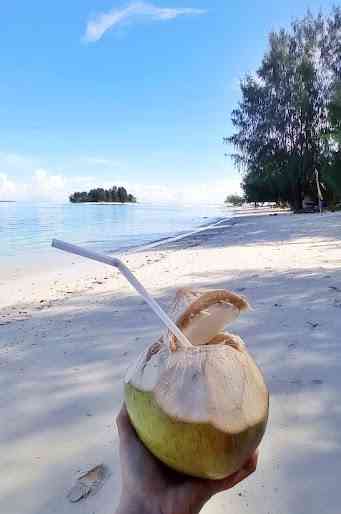 menikmati kelapa muda di tepi pantai pulau Dodola, Maluku Utara (Pic. dok pribadi Endah Kurnia Wirawati)